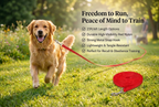 Dog Training Leash