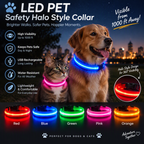 LED PET Safety Halo Style Collar